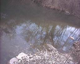 Inquinamento 24-02-05 011.jpg